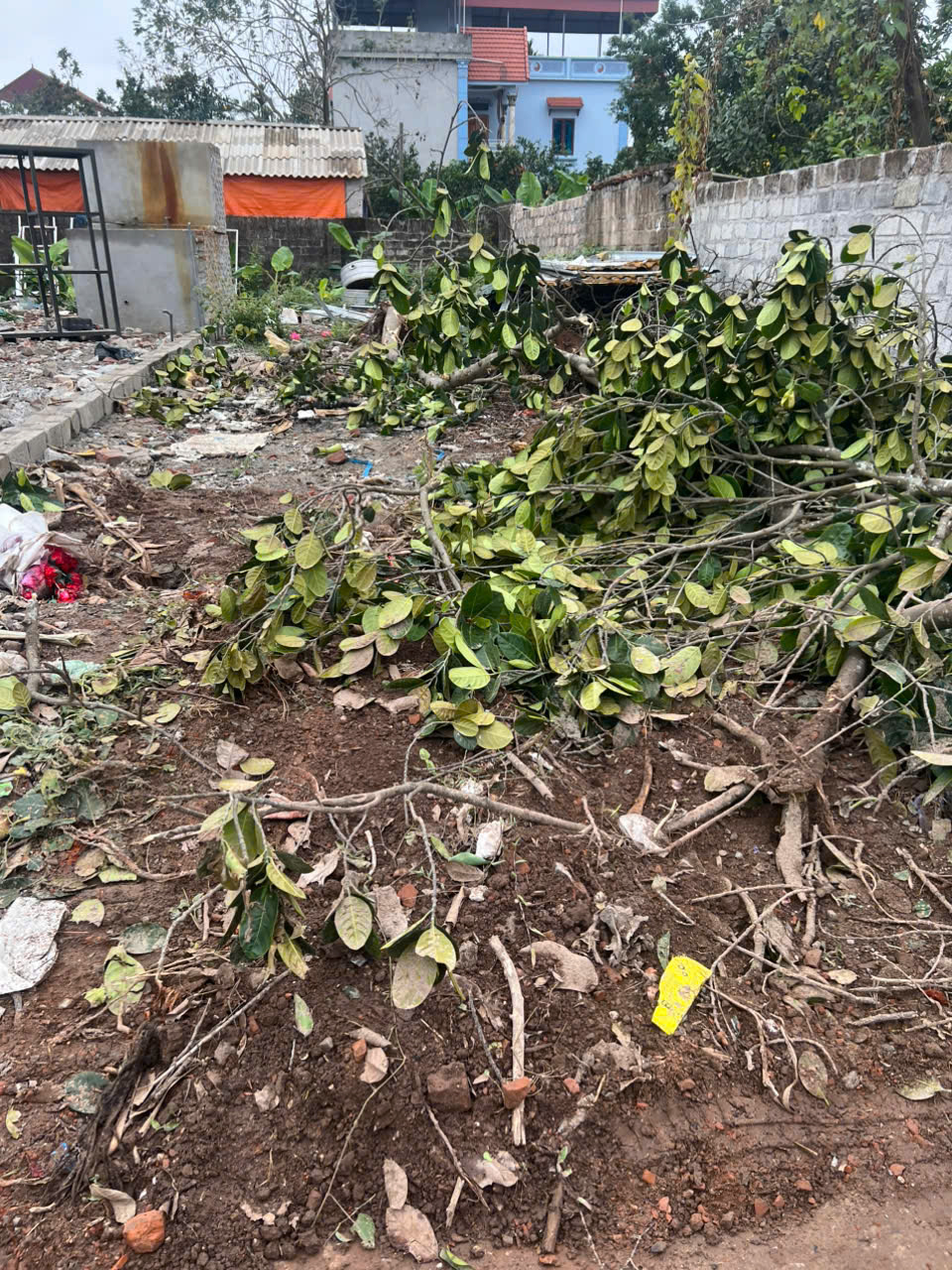 ĐẤT ĐẸP - GIÁ TỐT - Vị Trí Đắc Địa Tại Xã Mỹ Xuyên, Huyện Mỹ Đức, TPHN - Ảnh 2