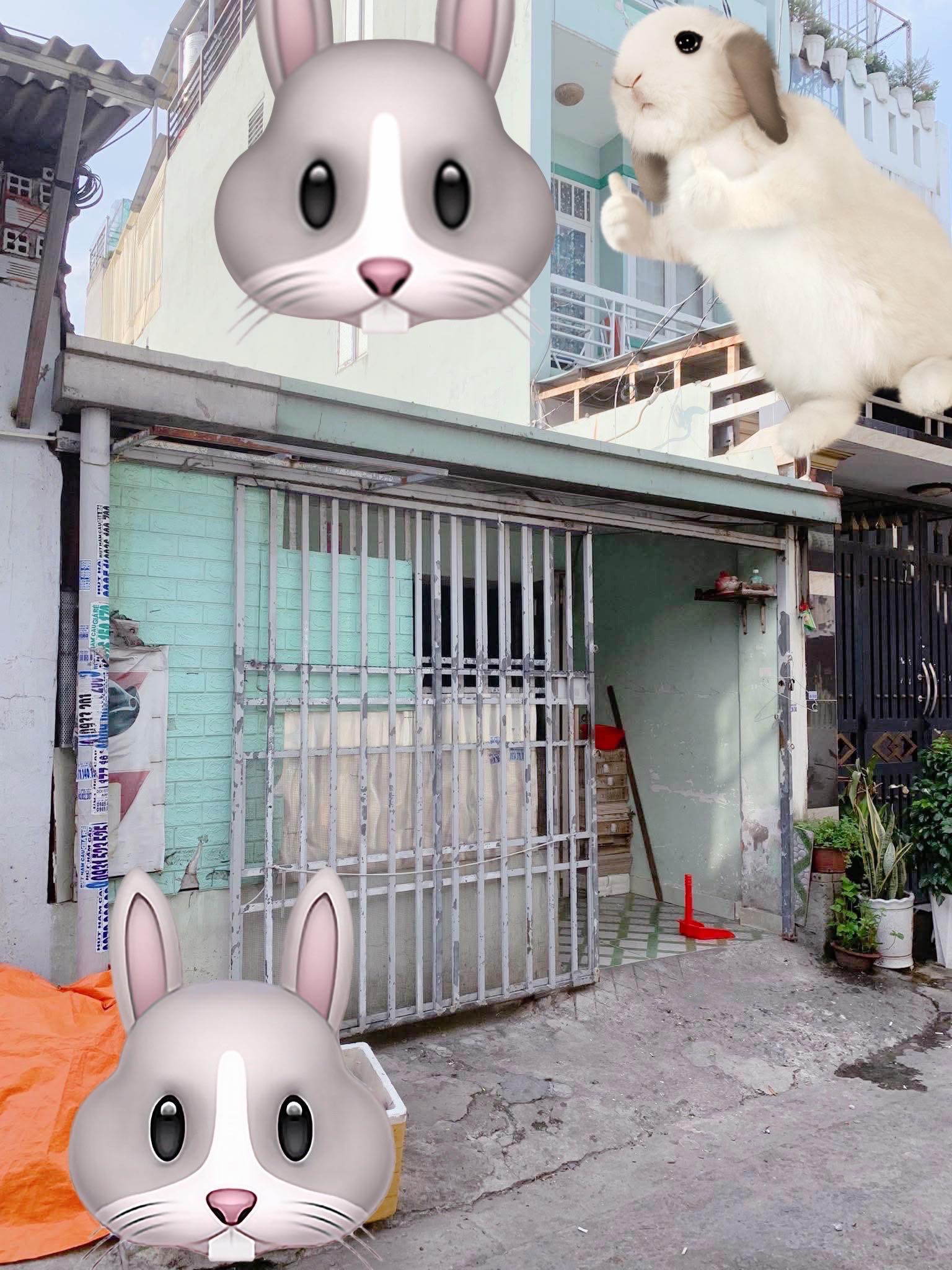 Nhà cấp 4,,,39m2 (3,1x18) Song Hành Q12 ,sát Galaxy Trung Chánh ,hxh thông, 3 tỷ nhỉnh 0932030061 - Ảnh chính