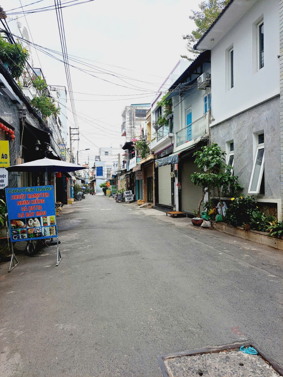 Siêu Hiếm nhà Đ số 4 Gò Xoài Lê Văn Quới hẻm 6m thông Kinh Doanh 48m2,2 Tầng 4 tỷ4 - Ảnh 1