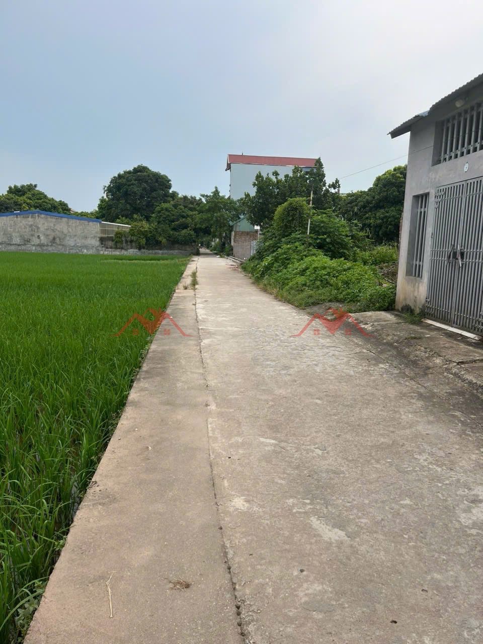 CHÍNH CHỦ BÁN LÔ ĐẤT 42M TẠI PHƯỢNG ĐỒNG-PHỤNG CHÂU-CHƯƠNG MỸ-HÀ NỘI - Ảnh 2