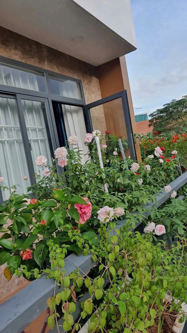 Bán nhà ĐẸP 3 tấm Dĩ An_TPHCM Tương lai,đường 2 xe hơi,gần chợ Đông Hòa - Ảnh 4
