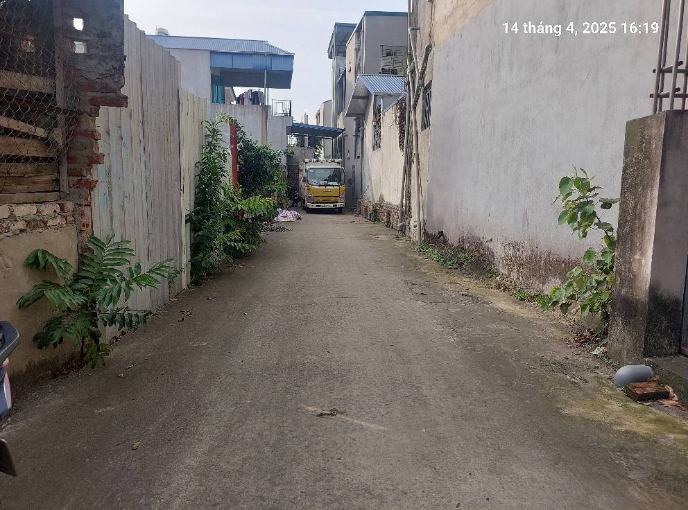 Bán đất tặng nhà 90m2, mt5m, 3T, ô tô, bìa làng, 3.2 tỷ, Quang Tiến, Sóc Sơn. - Ảnh 4