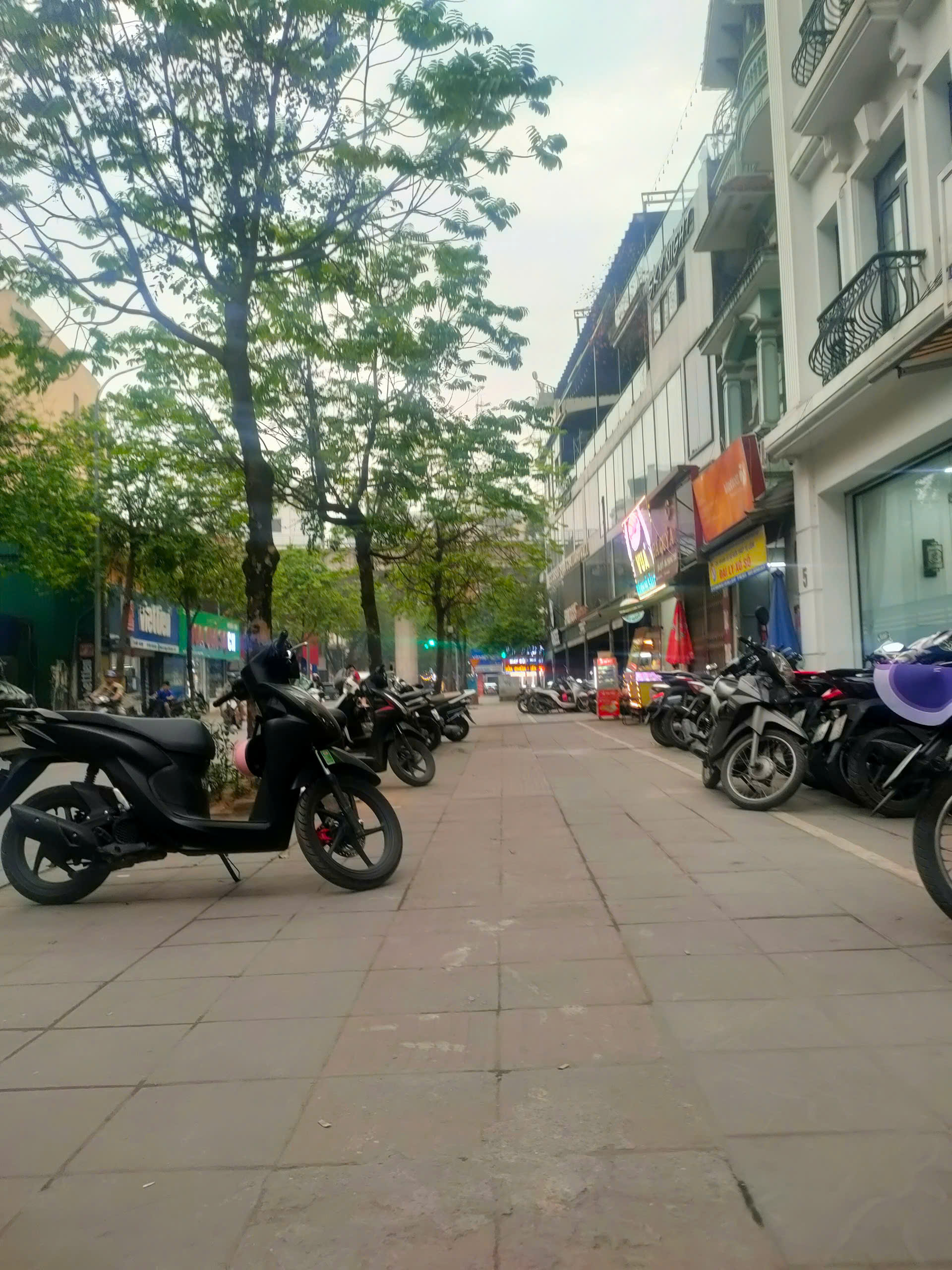 MẶT PHỐ VIP TÔ HIỆU CẦU GIẤY, VỈA HÈ ĐÁ BÓNG, KINH DOANH ĐẮC ĐỊA, DT 62M² HƠN 24 TỶ - Ảnh 1