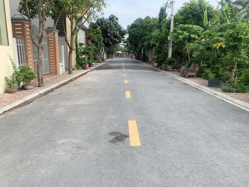 Bán 107,3m2 Đất Đấu Giá Đổng Xuyên: Đường ô tô tránh, gần đường gom đê - An cư lý tưởng - Ảnh 2