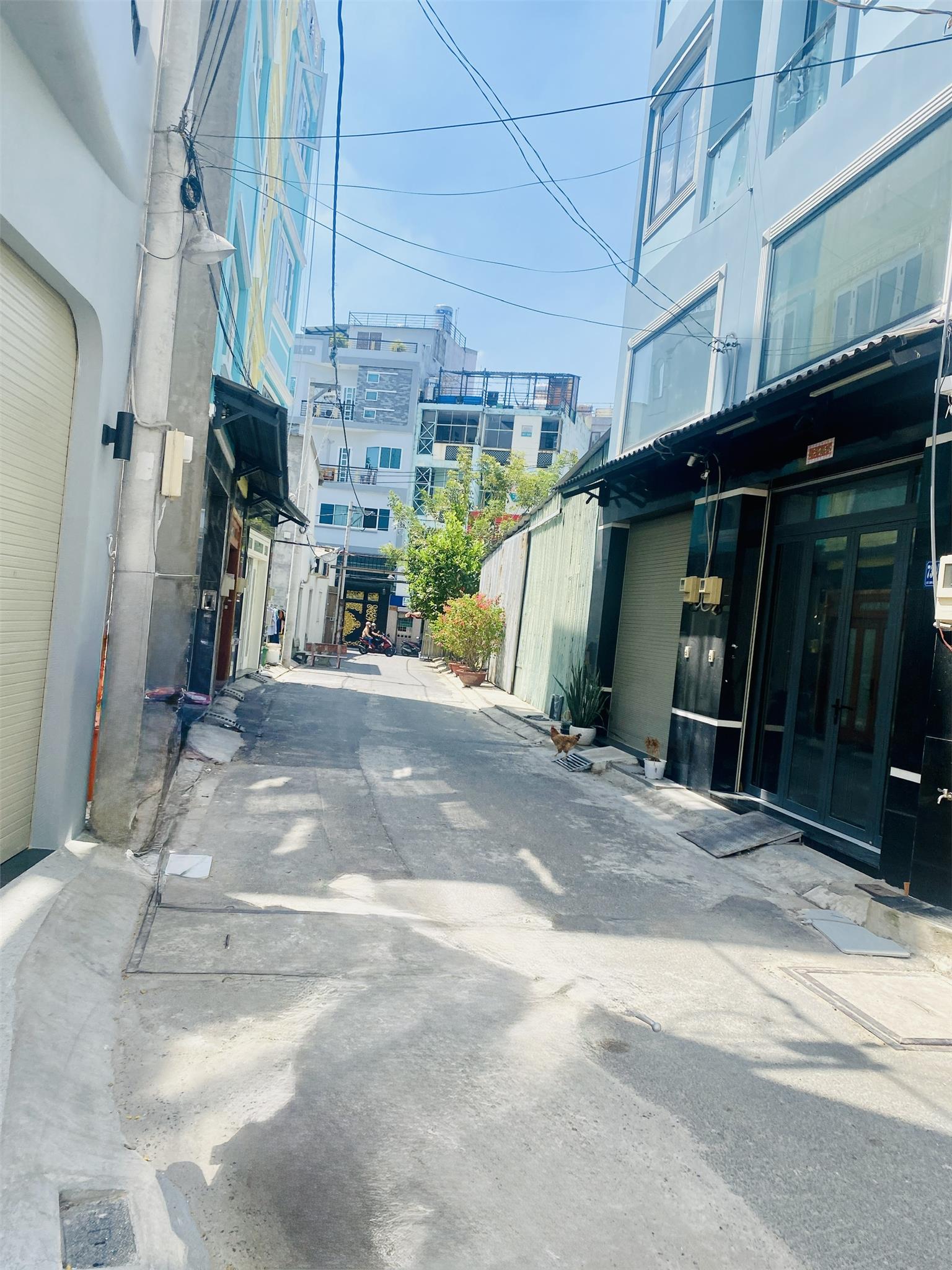 **Bán nhà đường Lạc Long Quân, phường 9, Tân Bình; (4*12) 3 tầng - 6,8 tỷ - Ảnh 4