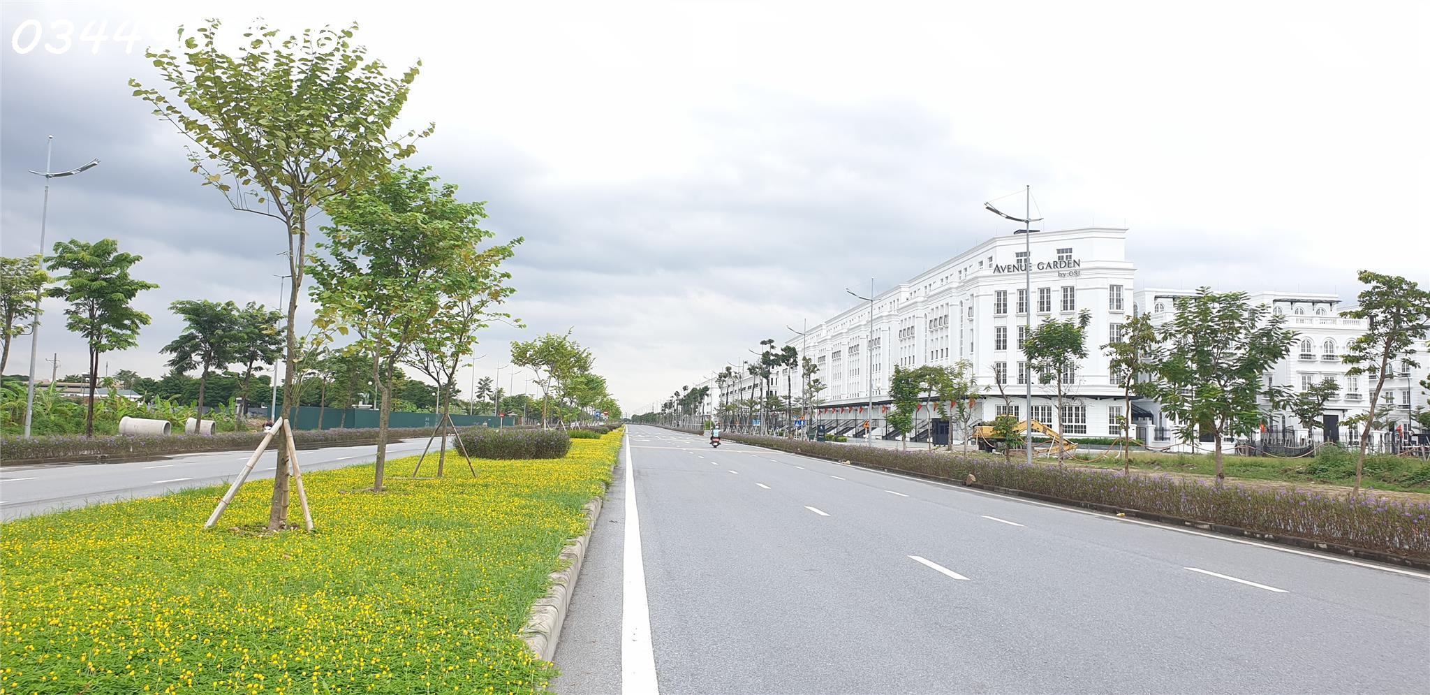 💥 Bán Đất Lô Góc Đẹp – Mạc Xá, Liên Mạc – Giáp Thụy Phương – Bắc Từ Liêm – Giá Cực Tốt! 💥 - Ảnh 3