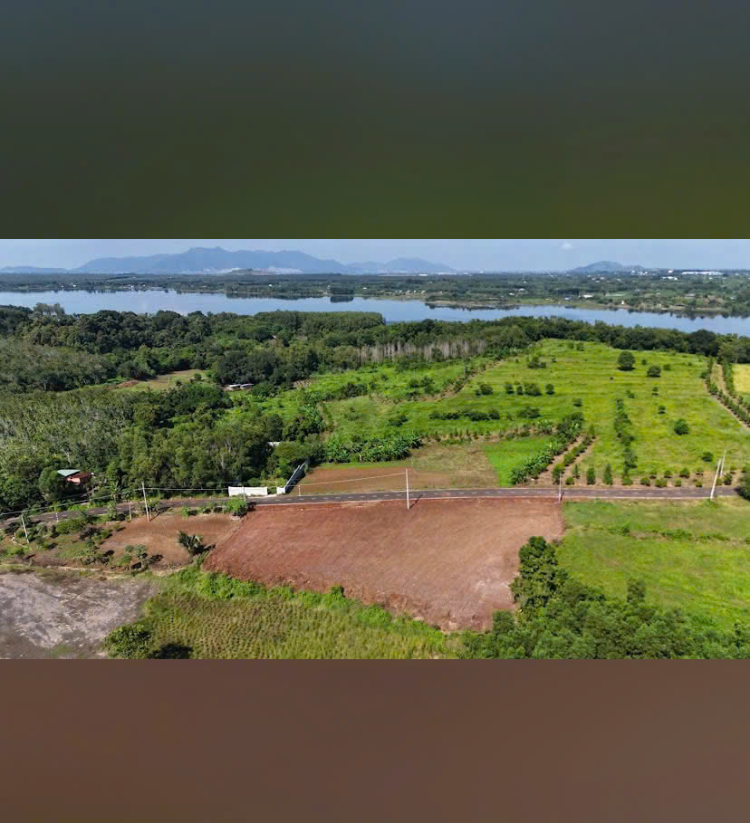 🏡 BÁN LÔ ĐẤT GẦN HỒ ĐÁ BÀNG – BÀ RỊA, GIÁ CHỈ 590 TRIỆU - Ảnh 2