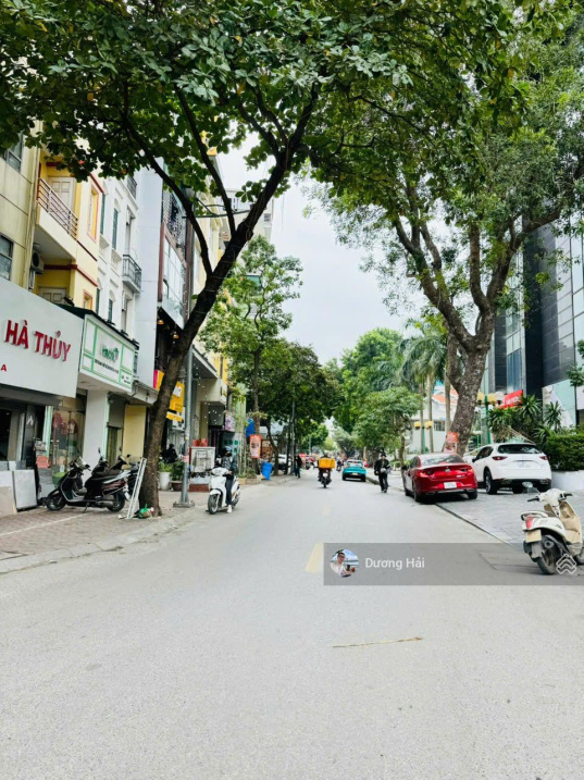 Bán nhà PL Ngõ 10 Nguyễn Văn Huyên 7 Tầng Thang Máy Kinh Doanh Ngày Đêm Dòng Tiền Ổn Định - Ảnh 2