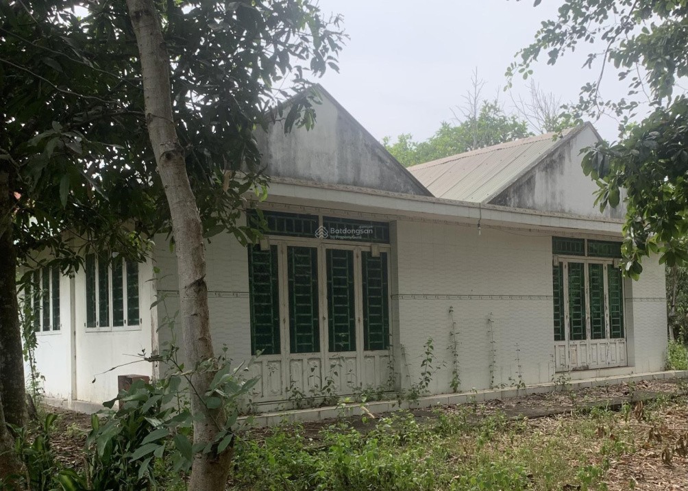 Đất 22.000m2 giá rẻ 6.5tỷ , SHR không QH - QL20 - Đồng Nai - Ảnh 2