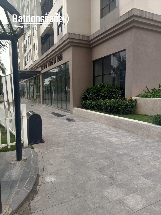 Shophouse khối đế tòa CT8 Emerald Mỹ Đình Sông Đà, cho thuê 80 triệu/tháng. - Ảnh 2