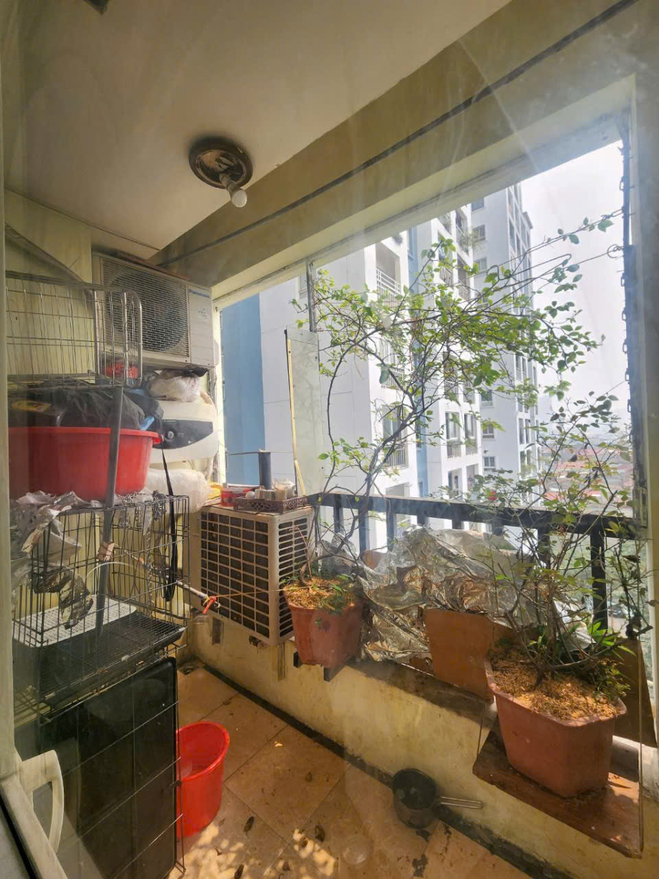 CHUNG CƯ ĐẸP - GIÁ TỐT - Vị Trí Đắc Địa Tại 229 Phố Vọng, Phường Đồng Tâm, Quận Hai Bà Trưng, Thành - Ảnh 4