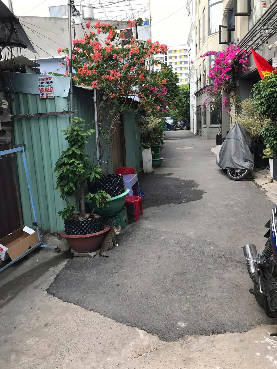 CHO THUÊ NHÀ NHỎ RIÊNG BIỆT. Nhà hẻm ngõ. Xe hơi đi đc, hẻm 736 Lê Đức Thọ Gò Vấp - Ảnh chính