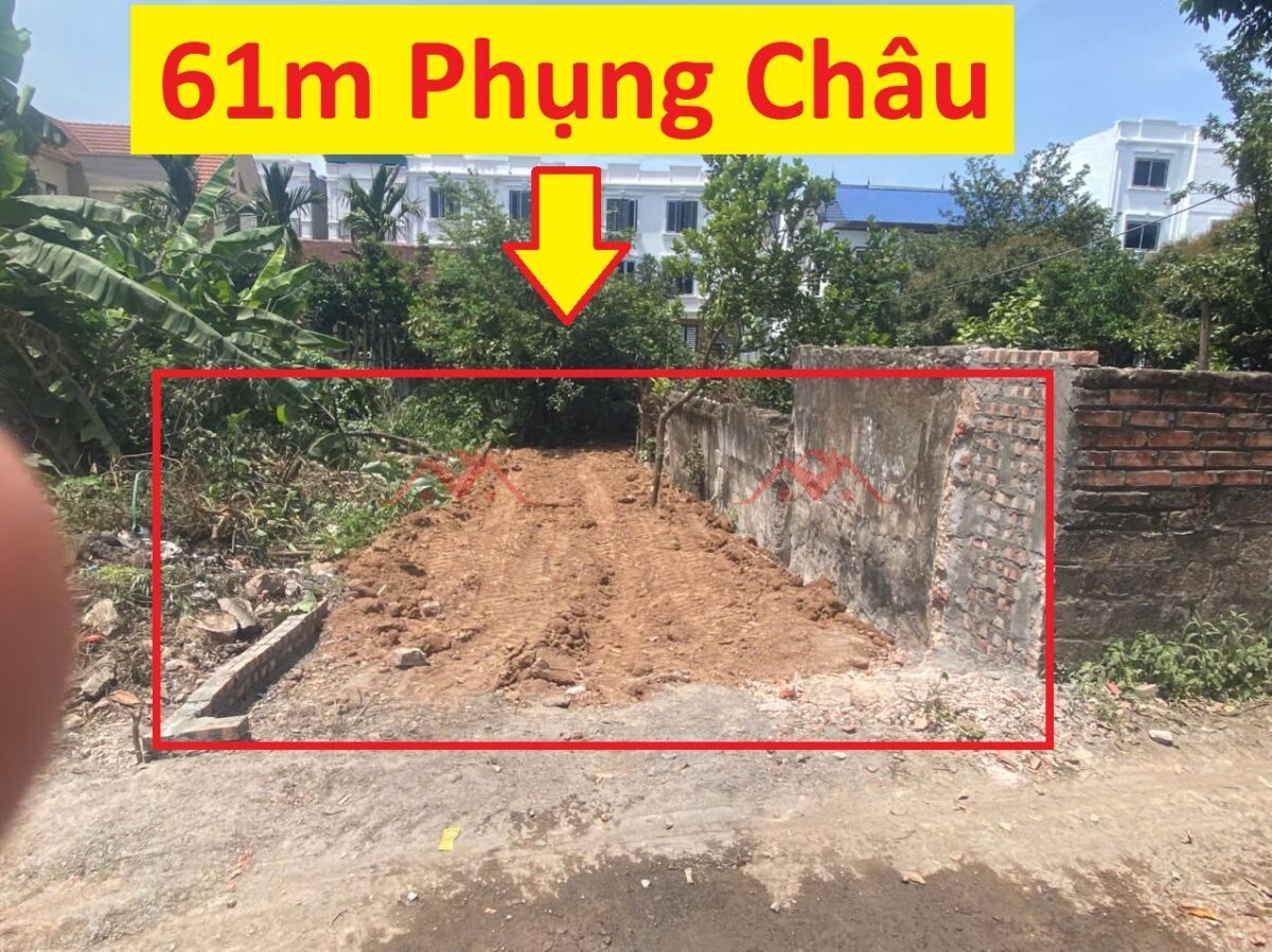 CHÍNH CHỦ BÁN LÔ ĐẤT 61M PHỤNG CHÂU-CHƯƠNG MỸ-HÀ NỘI - Ảnh chính