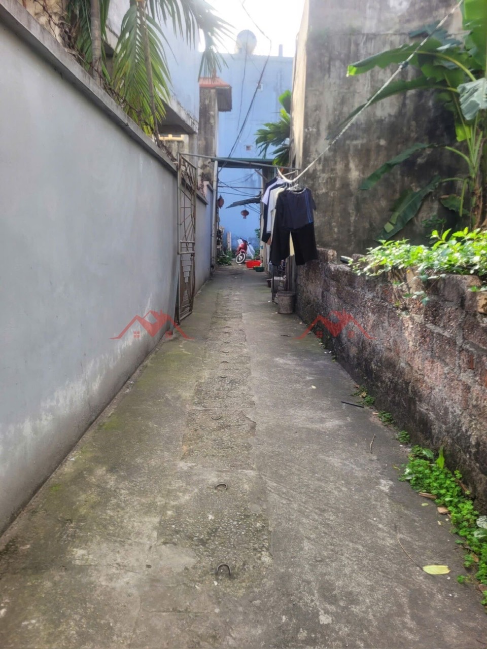 CHÍNH CHỦ BÁN LÔ ĐẤT 47,2M TẠI YÊN NGHĨA-HÀ ĐÔNG-HÀ NỘI - Ảnh 1