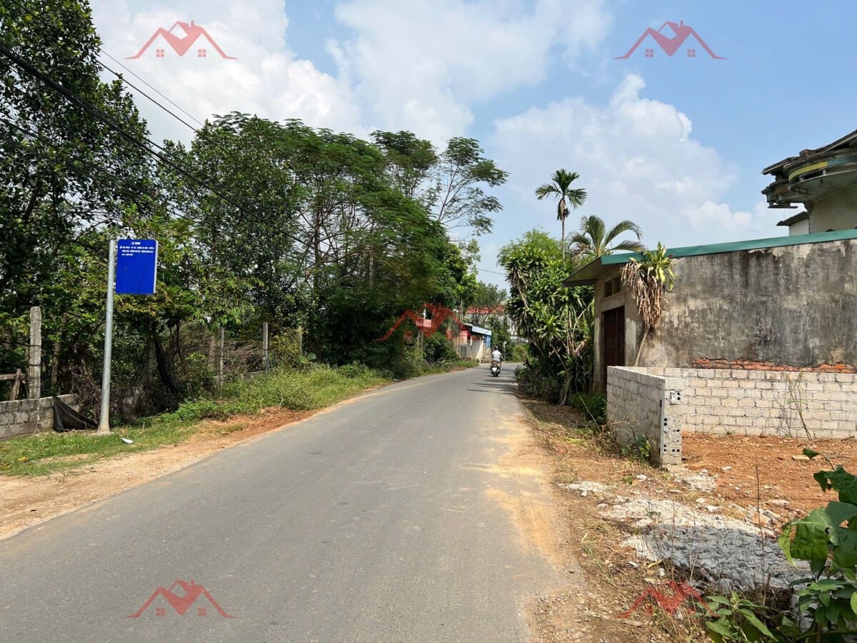 CHÍNH CHỦ BÁN LÔ ĐẤT 200M TẠI ĐÔNG SƠN-CHƯƠNG MỸ-HÀ NỘI - Ảnh 3