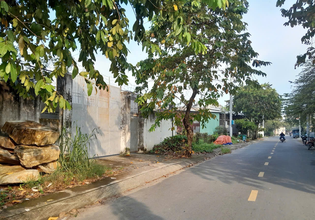 Đất Khủng 2595m2 có 26 tỷ x Mặt tiền Nguyễn Thị Điệp Đông Thạnh Hóc Môn TP. Hồ Chí Minh. - Ảnh 1