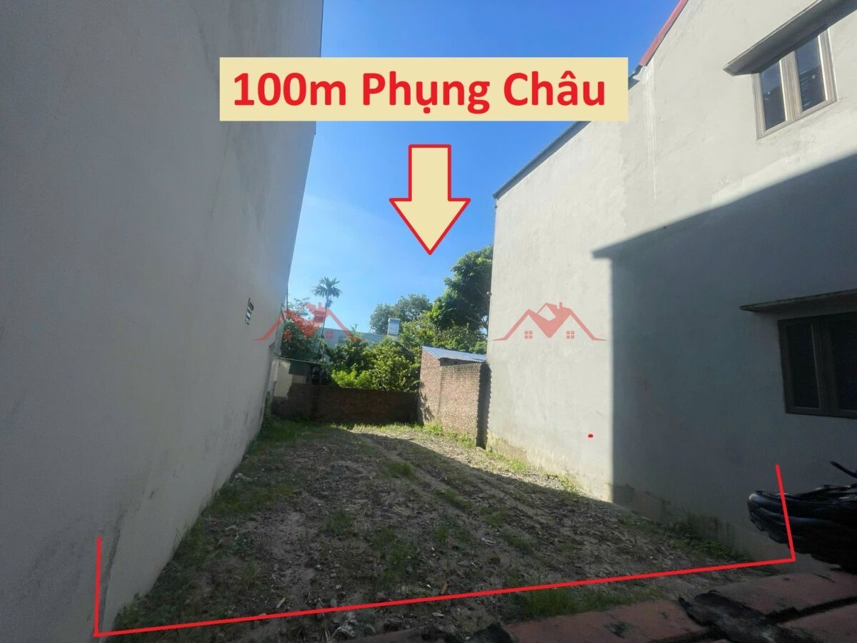 CHÍNH CHỦ BÁN LÔ ĐẤT 100M TẠI PHỤNG CHÂU-CHƯƠNG MỸ-HÀ NỘI - Ảnh chính