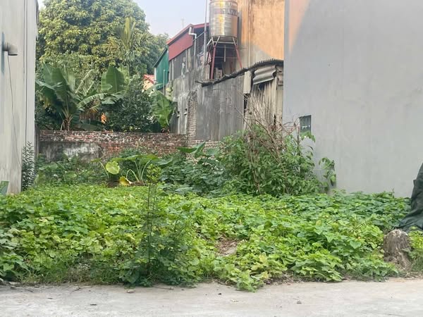 Bắc Hồng, 94m2, mt5m, 5 tỷ, Đông Anh, ô tô. - Ảnh 1