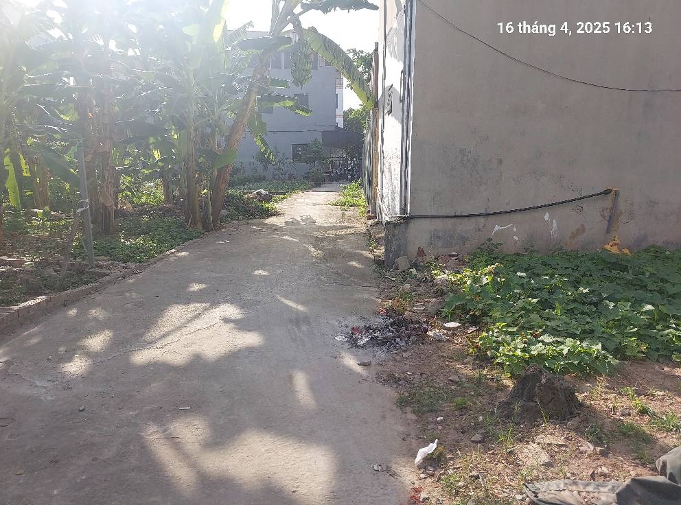 Bắc Hồng, 94m2, mt5m, 5 tỷ, Đông Anh, ô tô. - Ảnh 3