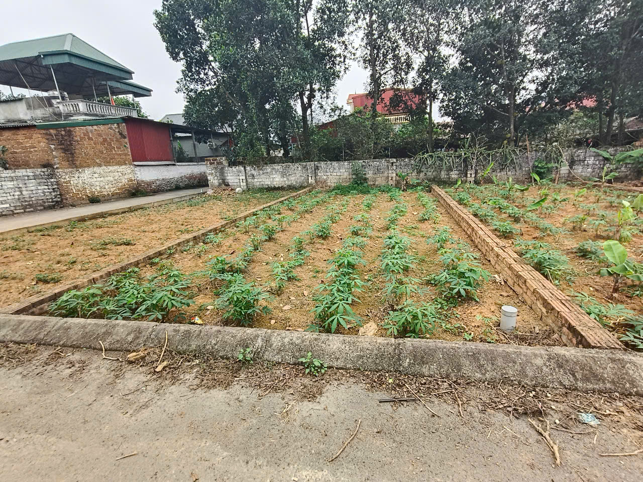 Đất thổ cư Bình Yên, Thạch Thất, HN, 63m2, MT5.2m, ôtô đỗ cửa, 2.5 tỷ - Ảnh chính