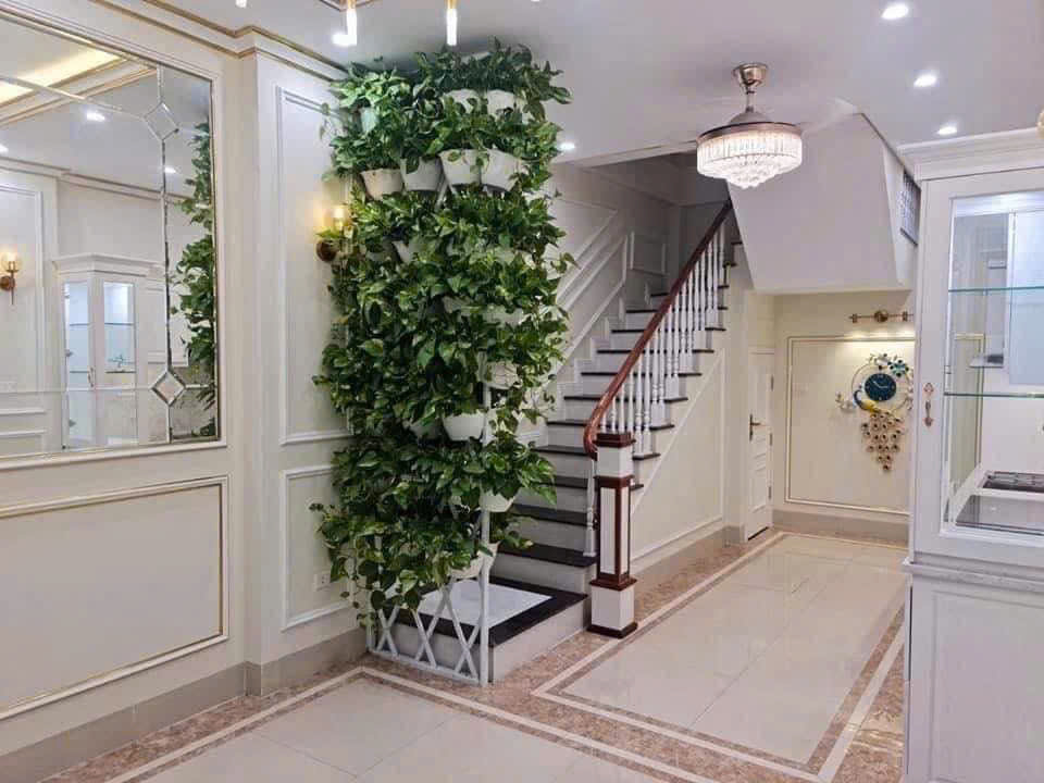 Bán gấp Lô Góc Ngọc Thụy 40m² , oto, kinh doanh, hàng xóm Khai Sơn, nhỉnh 7 tỷ - Ảnh 2