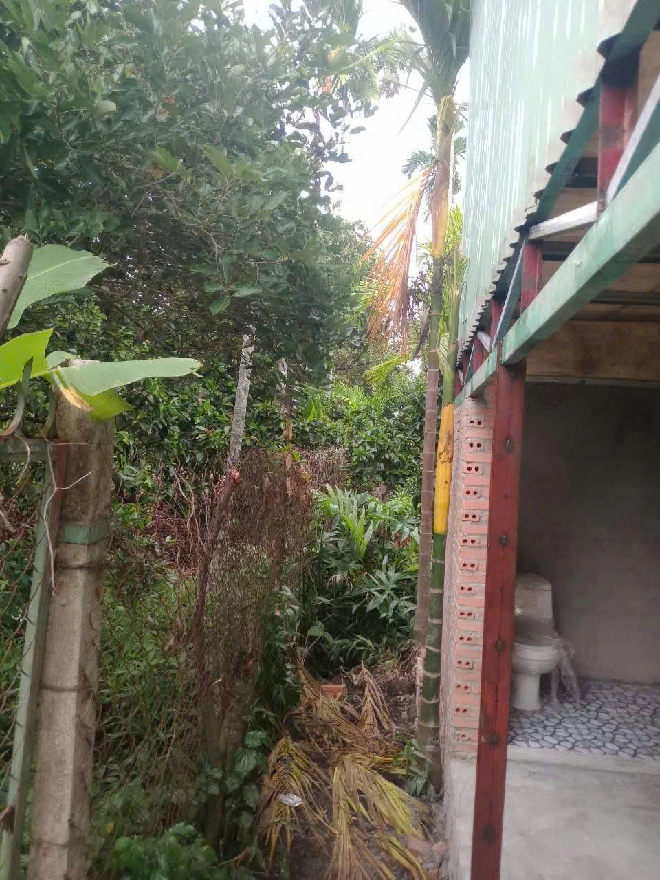 Đất Vườn Tân An Cho Thuê – 2.000m², Kinh Doanh Nghỉ Dưỡng, Giá 36tr/tháng Liên hệ: - Ảnh 1
