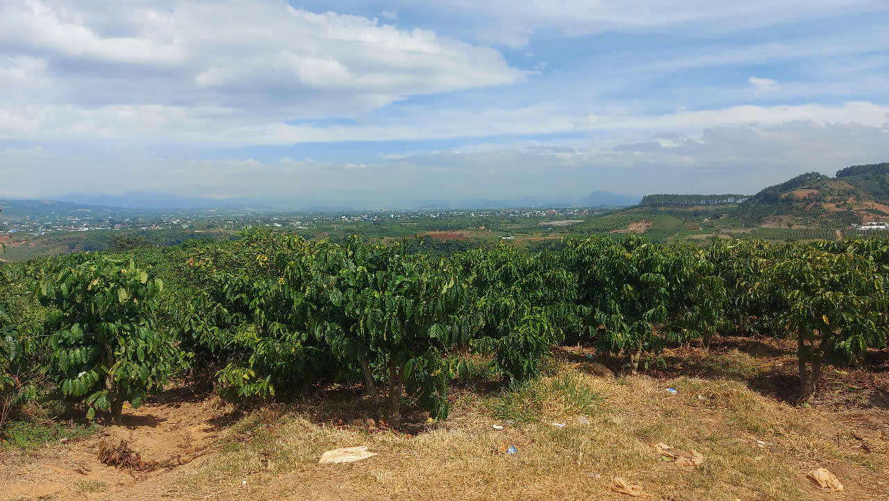 ĐẤT ĐẸP - GIÁ TỐT - Vị Trí Đắc Địa Tại Thôn Tân phú, Xã Ninh Gia, Đức Trọng, Lâm Đồng - Ảnh chính