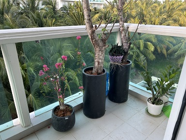 Chính Chủ Cho Thuê CĂN HỘ OCEAN VISTA Tại Thành phố Phan Thiết, Bình Thuận. - Ảnh 3