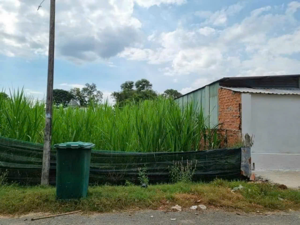 ĐẤT ĐẸP - GIÁ TỐT - Vị Trí Đắc Địa Tại Thái Mỹ, Huyện Củ Chi, TPHCM - Ảnh 1