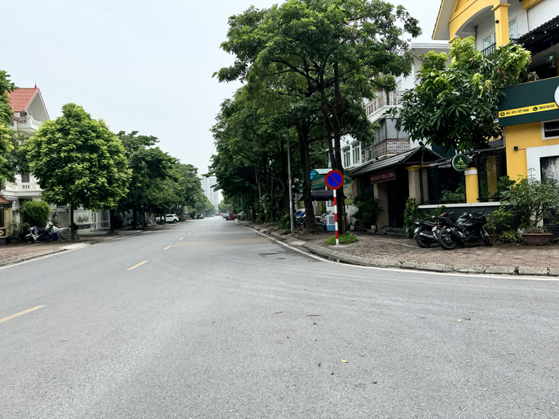 Biệt thự nhà vườn Việt Hưng: Lô góc thoáng đẹp, 145,1m2, 4 tầng - An cư lý tưởng, kinh doanh - Ảnh 1