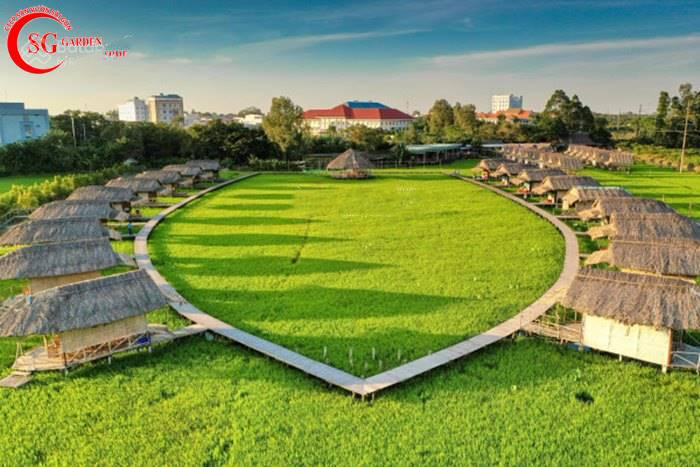 BÁN 54.751M2 ĐẤT SẴN SỔ MẶT TIỀN TỈNH LỘ 818-BÌNH THÀNH-ĐỨC HUỆ - Ảnh 2