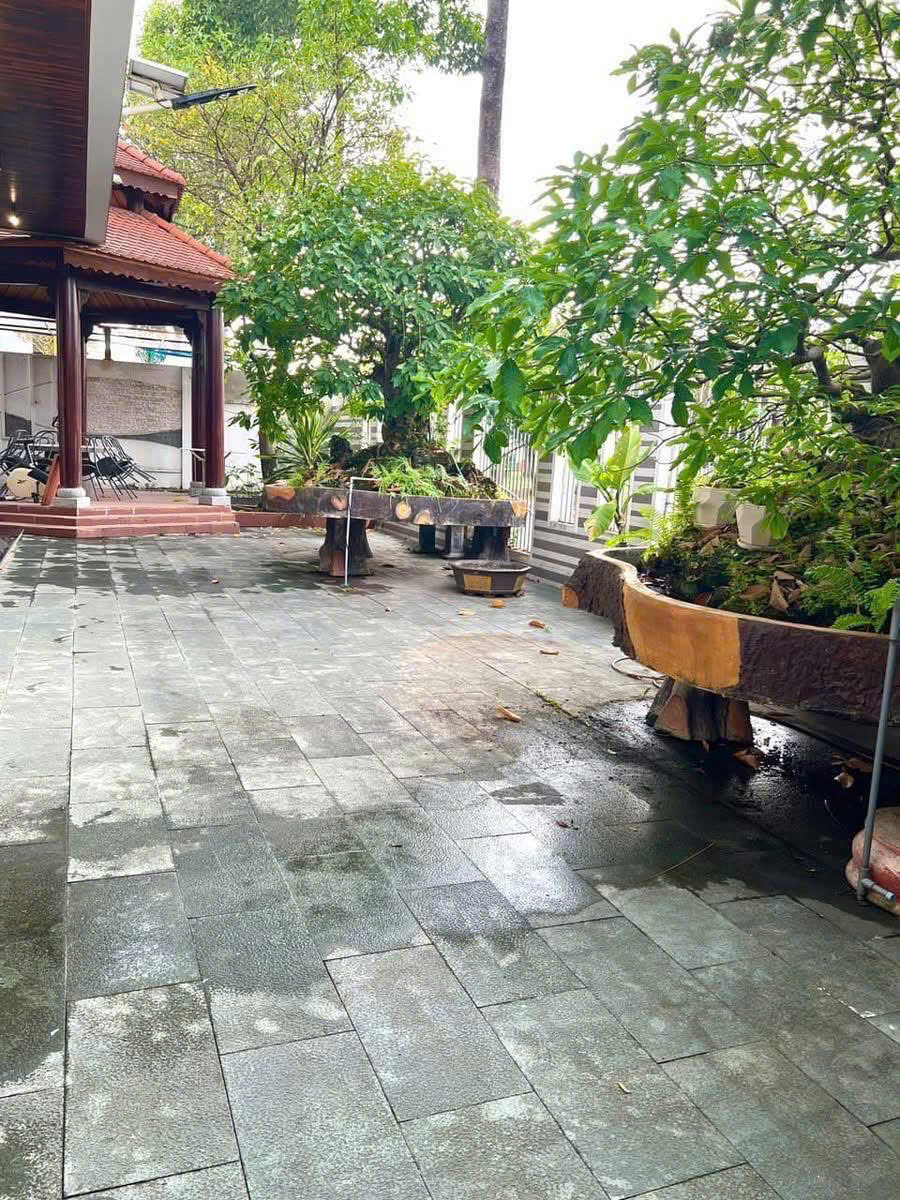 Cho Thuê Biệt Thự Sang Trọng Tại Phường Hòa Phú, TDM – 520m², Giá 45 Triệu Liên hệ: - Ảnh 1