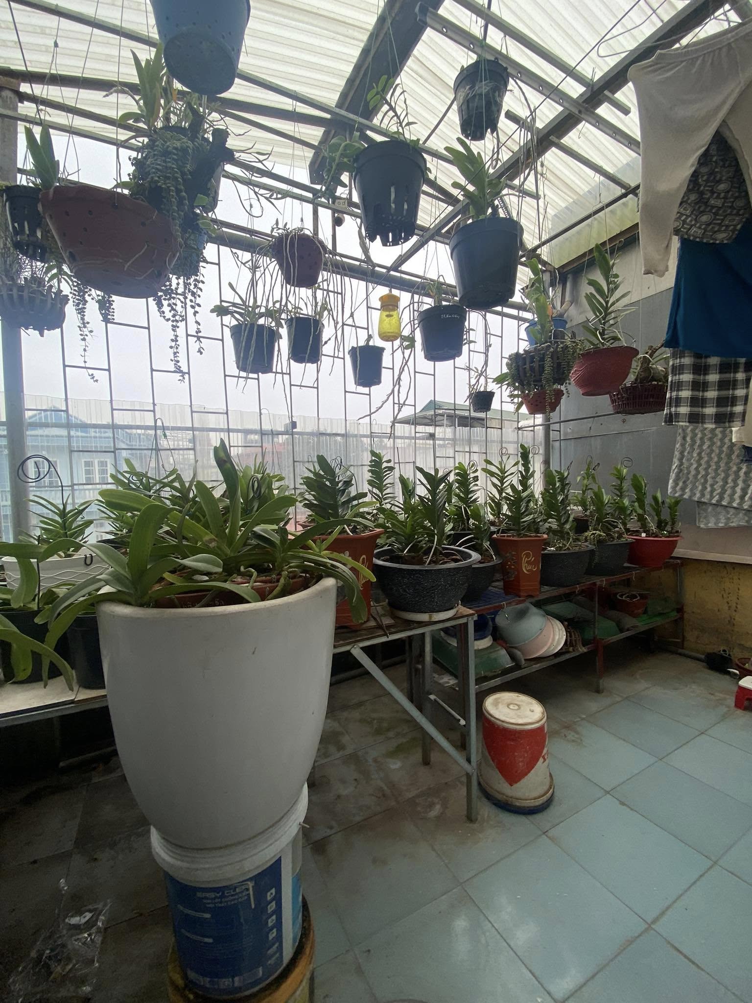 Cực Hiếm Đầu Tư Sinh Lời Phố Trần Khát Trân - Bán Đất Tặng 2 Nhà Xây 4 Tầng, - Ảnh 4
