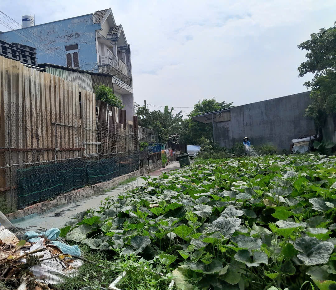 Đất Lô Góc 188m2 có 6 tỷ x Mặt tiền Đông Thạnh Hóc Môn Hồ Chí Minh. - Ảnh 1