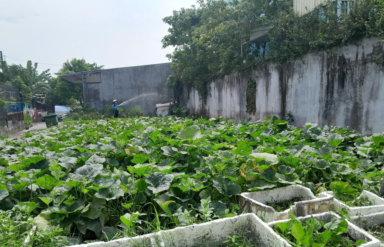 Đất Lô Góc 188m2 có 6 tỷ x Mặt tiền Đông Thạnh Hóc Môn Hồ Chí Minh. - Ảnh 2