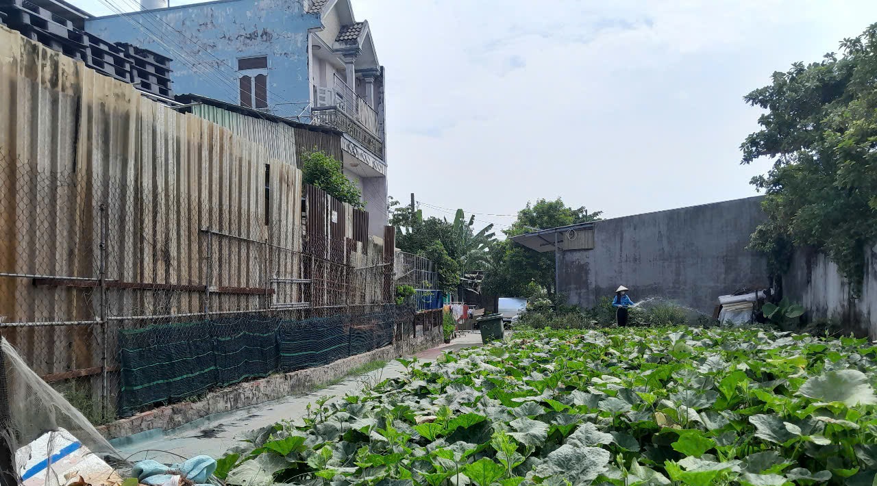Đất Lô Góc 188m2 có 6 tỷ x Mặt tiền Đông Thạnh Hóc Môn Hồ Chí Minh. - Ảnh 4