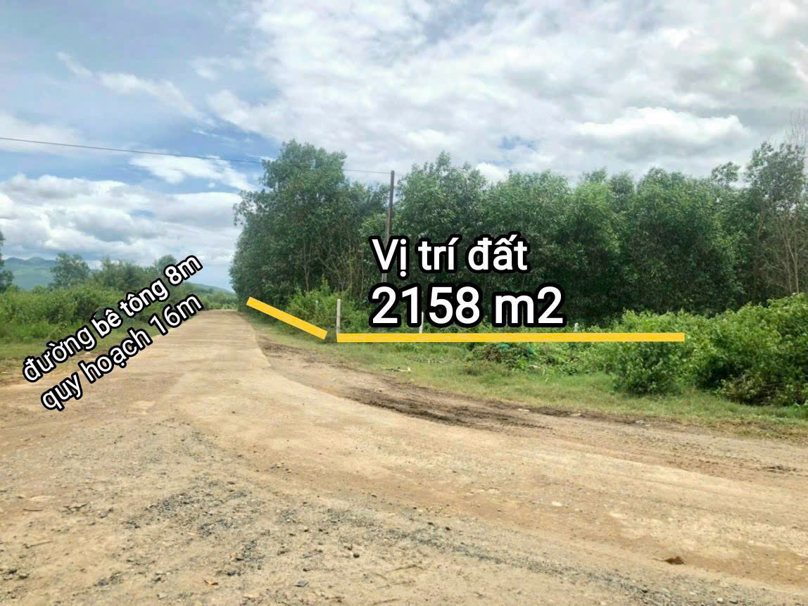 Bán đất Thôn 5, Xã Diên Đồng, Huyện Diên Khánh , Tỉnh Khánh Hòa - Ảnh 1