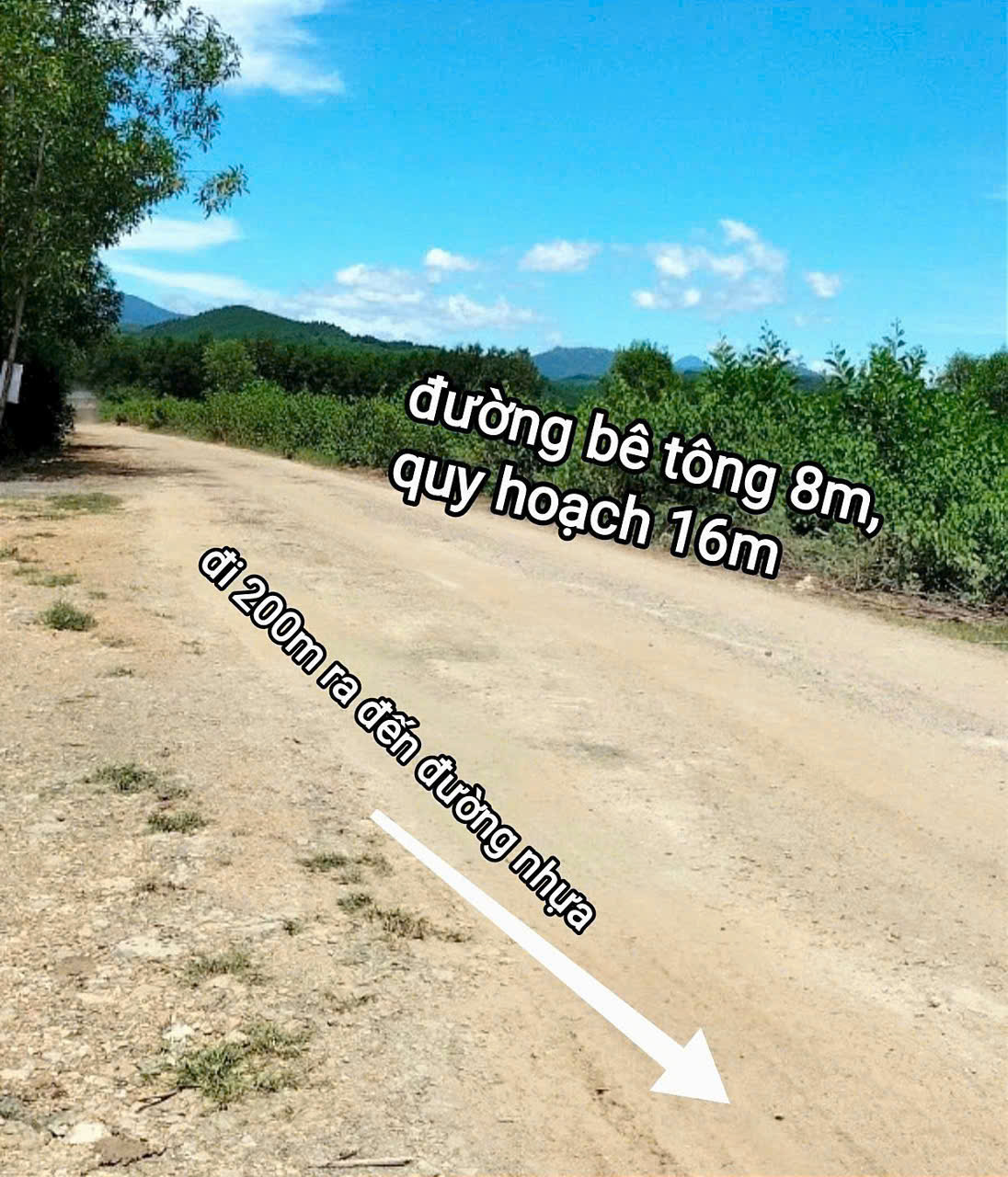 Bán đất Thôn 5, Xã Diên Đồng, Huyện Diên Khánh , Tỉnh Khánh Hòa - Ảnh 2