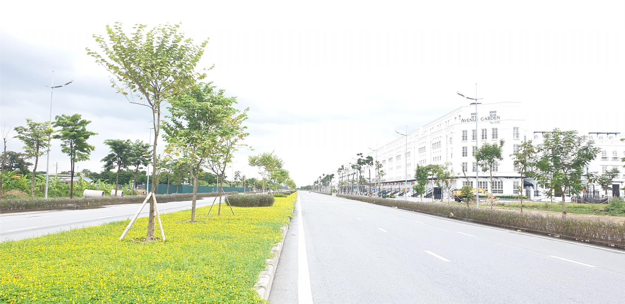 BÁN ĐẤT THƯỢNG CÁT, BẮC TỪ LIÊM 54M2 NHỈNH 4 TỶ. - Ảnh 1