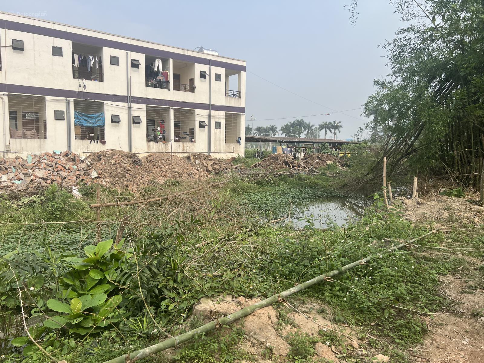 Cần bán 100m TT Kim Long - Tam Dương cạnh trường đại học Trưng Vương giá 1.x tỷ. LH 0865566675 - Ảnh 2