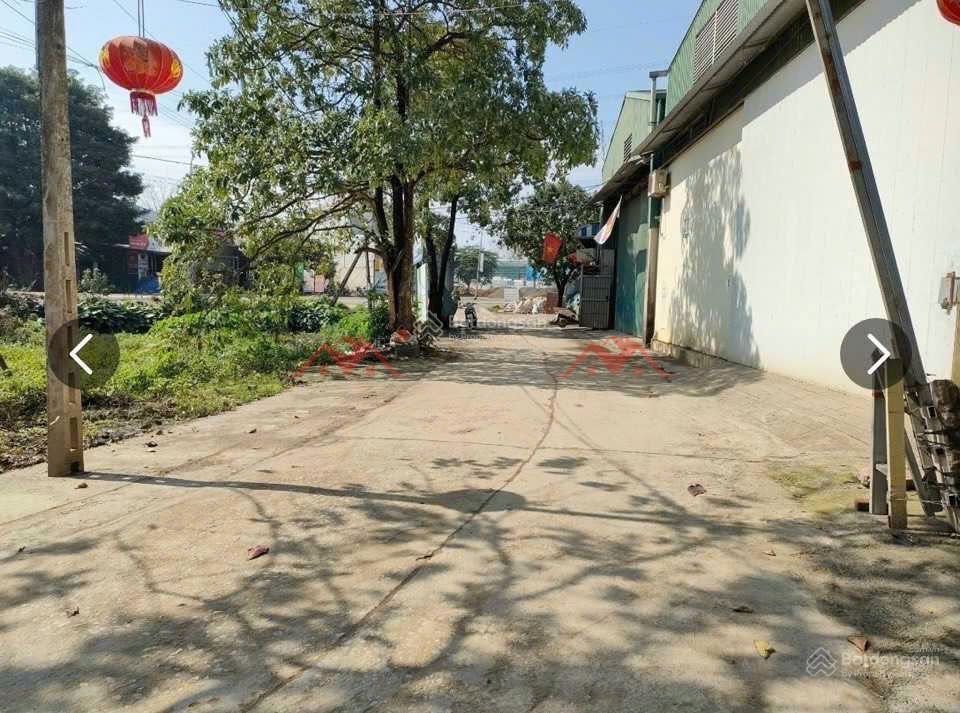 CHÍNH CHỦ BÁN LÔ ĐẤT 57M TẠI PHÚ NGHĨA-CHƯƠNG MỸ-HÀ NỘI - Ảnh 1