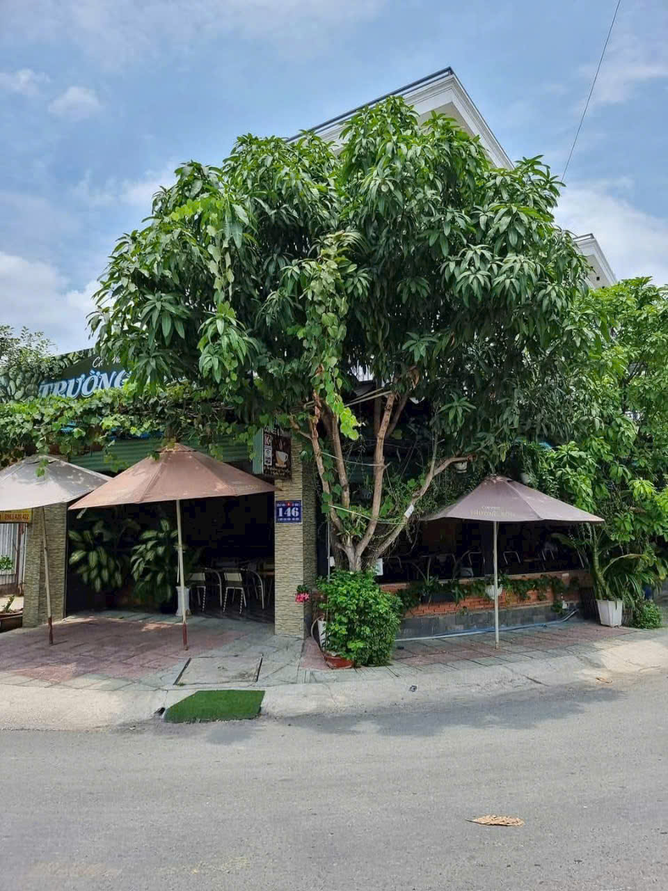 Lô Đất Đẹp (8x22) Mặt Tiền Đường 12m Ấp Đông 3, X.Thới Tam Thôn, Hóc Môn - Ảnh chính
