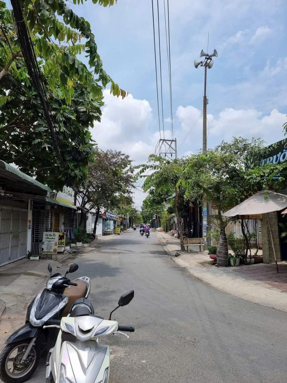 Lô Đất Đẹp (8x22) Mặt Tiền Đường 12m Ấp Đông 3, X.Thới Tam Thôn, Hóc Môn - Ảnh 1