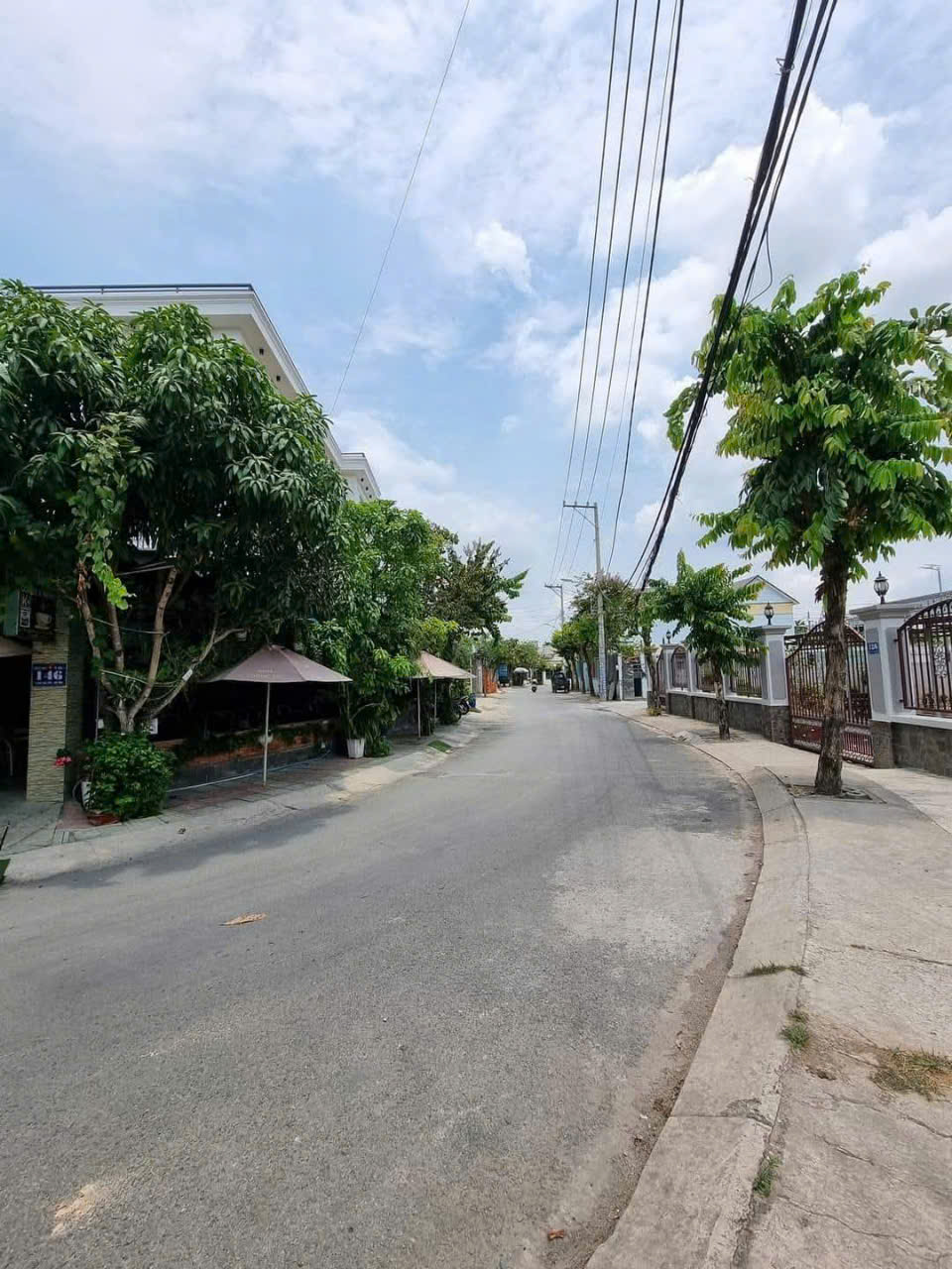 Lô Đất Đẹp (8x22) Mặt Tiền Đường 12m Ấp Đông 3, X.Thới Tam Thôn, Hóc Môn - Ảnh 4