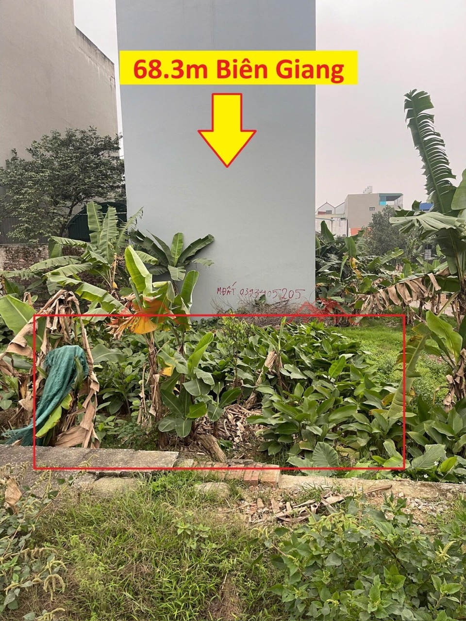 CHÍNH CHỦ BÁN LÔ 68,3M TẠI BIÊN GIANG-QUẬN HÀ ĐÔNG-HÀ NỘI - Ảnh chính