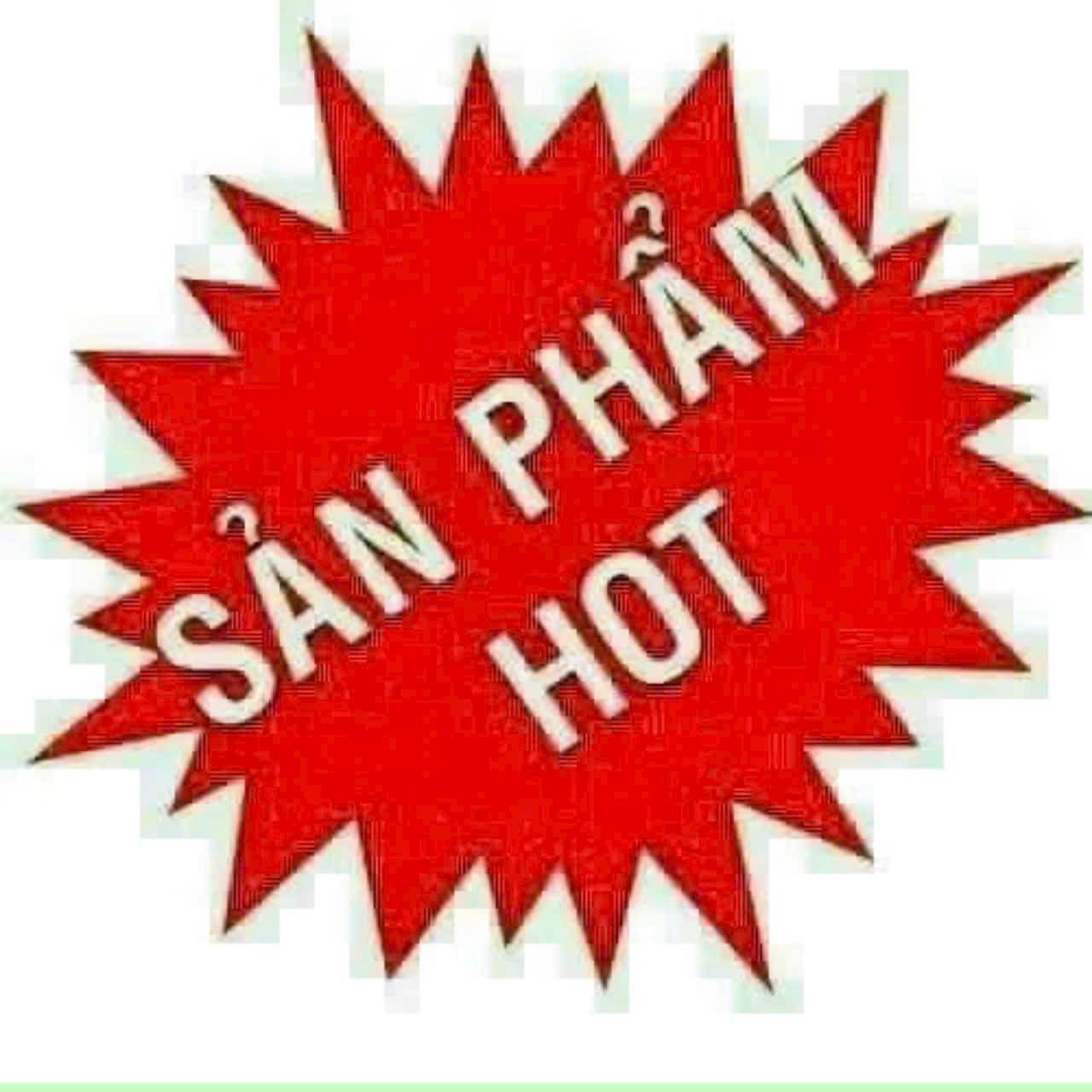BÁN ĐẤT MẶT TIỀN PHẠM THỊ DÂY 29X56M, 1200M2 THỔ CƯ GIÁ 39T - Ảnh 3