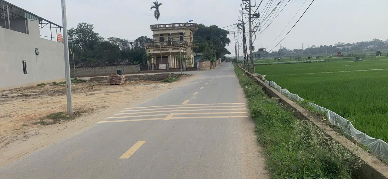 100M2 FULL THỔ CƯ, TRỤC CHÍNH XÃ CỔ ĐÔNG - Ảnh chính