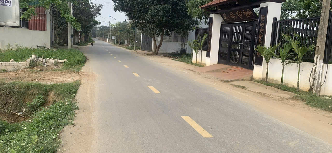 100M2 FULL THỔ CƯ, TRỤC CHÍNH XÃ CỔ ĐÔNG - Ảnh 1