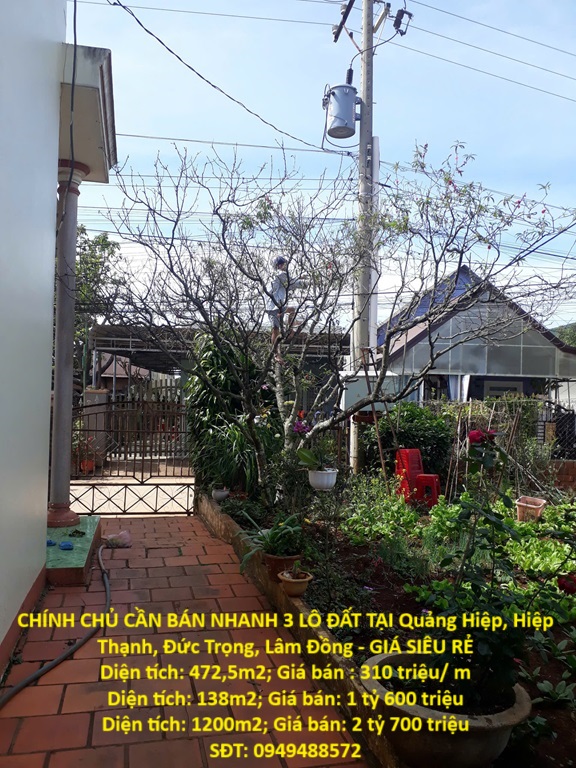 CHÍNH CHỦ CẦN BÁN NHANH 3 LÔ ĐẤT TẠI Quảng Hiệp, Hiệp Thạnh, Đức Trọng, Lâm Đồng - GIÁ SIÊU RẺ - Ảnh chính