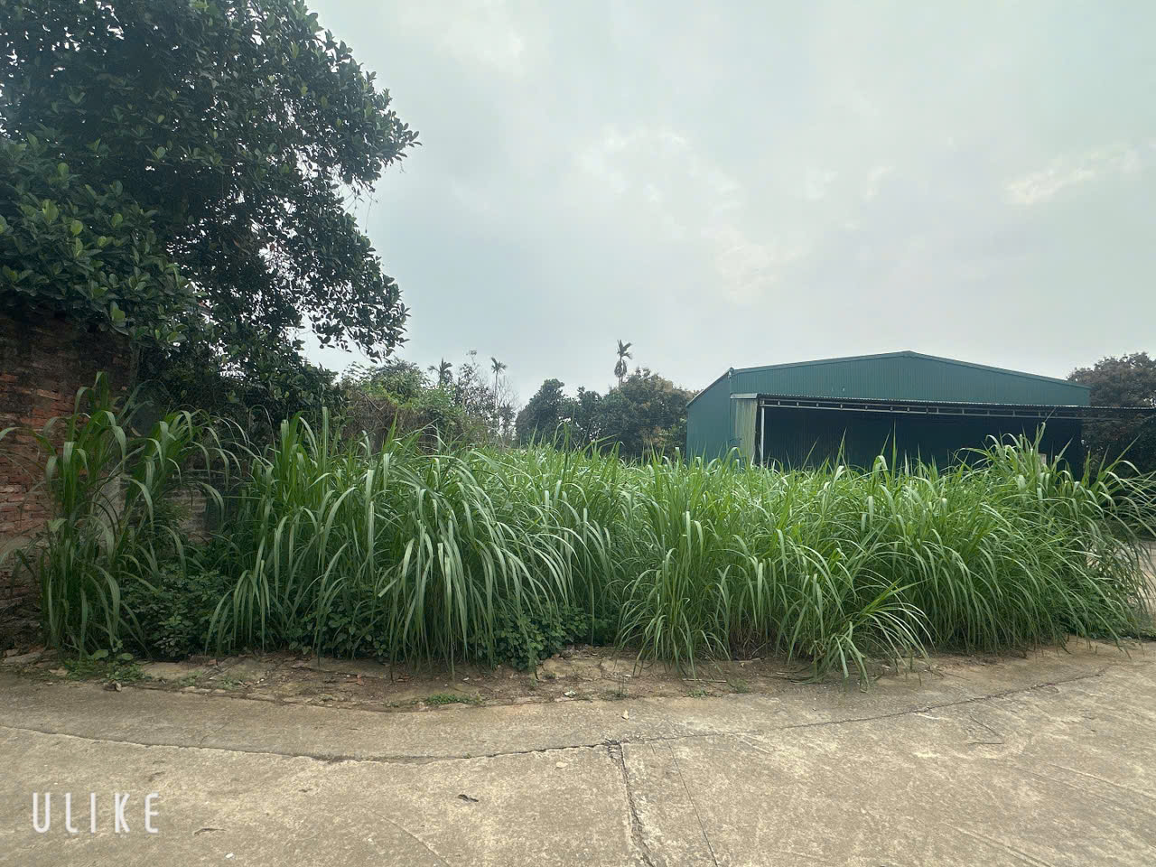 CHỈ VÀI TỶ, CÓ NGAY 172M2 ĐẤT TX SƠN TÂY - Ảnh chính